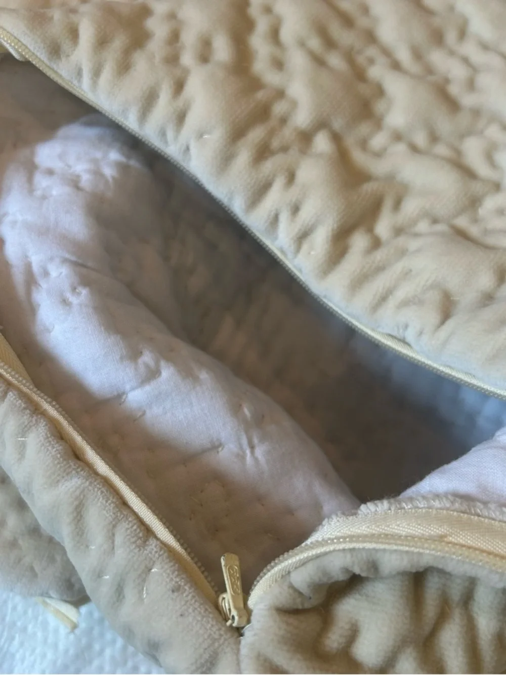 Pottery Barn Quilted Pillow Shams Set of 2 Beige Cotton Romantic Neutral